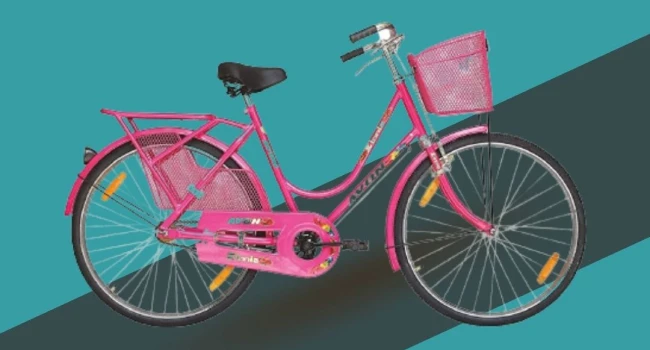 Vital Things to Look Out for When Buying a Ladies Bicycle